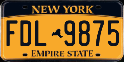 NY license plate FDL9875