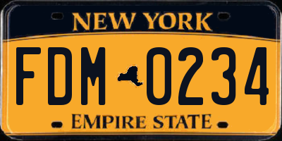 NY license plate FDM0234
