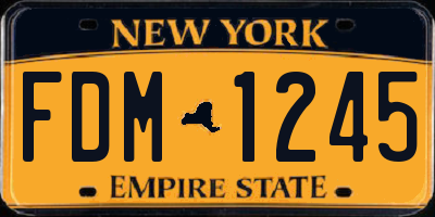 NY license plate FDM1245
