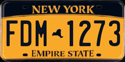 NY license plate FDM1273