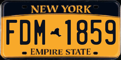 NY license plate FDM1859