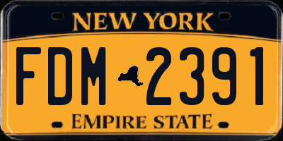 NY license plate FDM2391