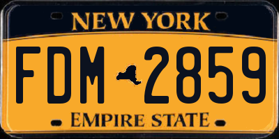 NY license plate FDM2859