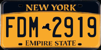 NY license plate FDM2919