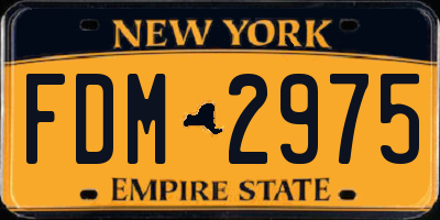 NY license plate FDM2975