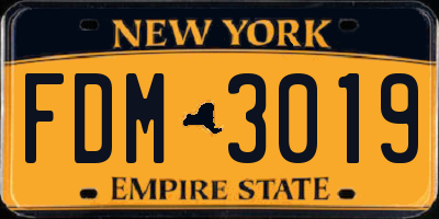 NY license plate FDM3019