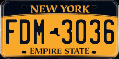 NY license plate FDM3036