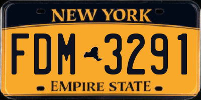 NY license plate FDM3291