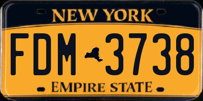 NY license plate FDM3738