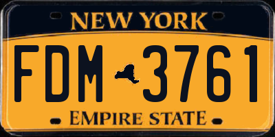 NY license plate FDM3761
