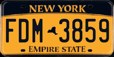 NY license plate FDM3859