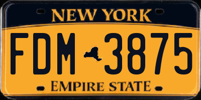 NY license plate FDM3875