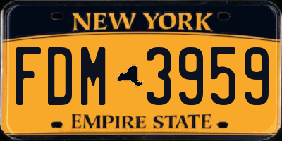 NY license plate FDM3959