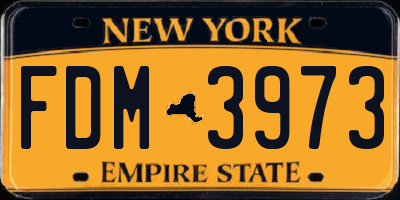 NY license plate FDM3973