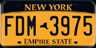 NY license plate FDM3975