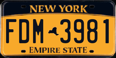 NY license plate FDM3981