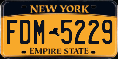 NY license plate FDM5229