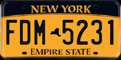 NY license plate FDM5231