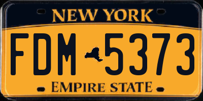 NY license plate FDM5373