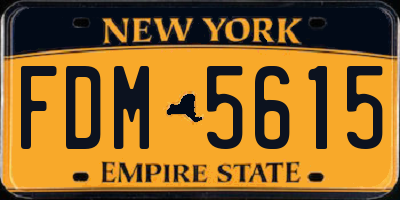 NY license plate FDM5615