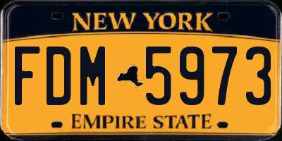 NY license plate FDM5973