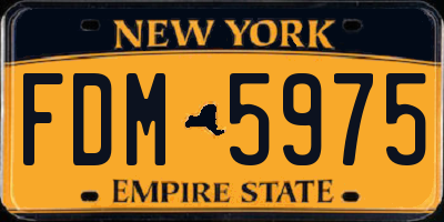 NY license plate FDM5975