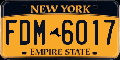 NY license plate FDM6017