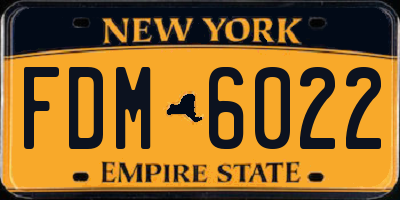 NY license plate FDM6022