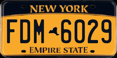 NY license plate FDM6029