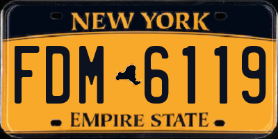 NY license plate FDM6119