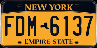 NY license plate FDM6137