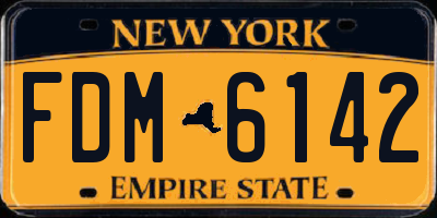 NY license plate FDM6142