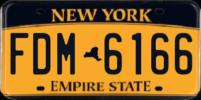 NY license plate FDM6166