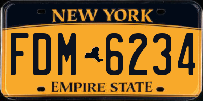 NY license plate FDM6234