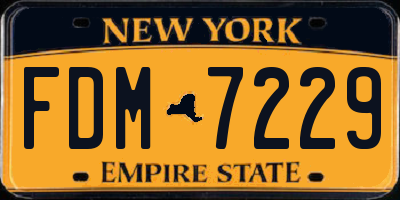 NY license plate FDM7229