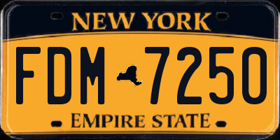 NY license plate FDM7250