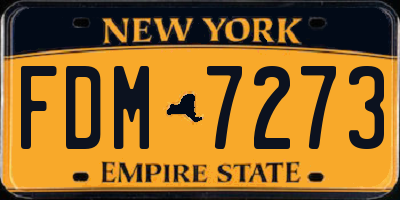 NY license plate FDM7273