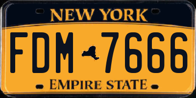 NY license plate FDM7666