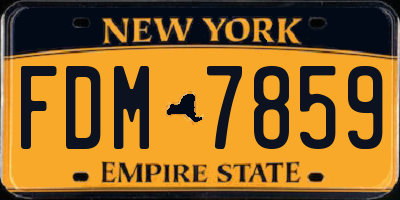 NY license plate FDM7859