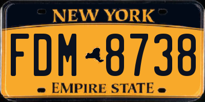 NY license plate FDM8738