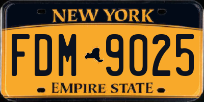 NY license plate FDM9025