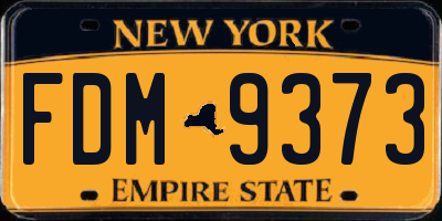 NY license plate FDM9373