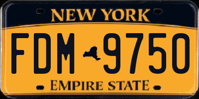 NY license plate FDM9750