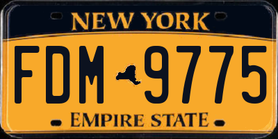 NY license plate FDM9775
