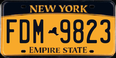 NY license plate FDM9823