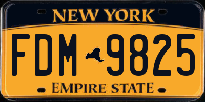 NY license plate FDM9825