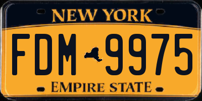 NY license plate FDM9975