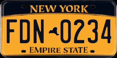 NY license plate FDN0234