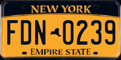 NY license plate FDN0239