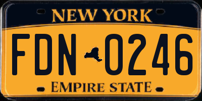 NY license plate FDN0246